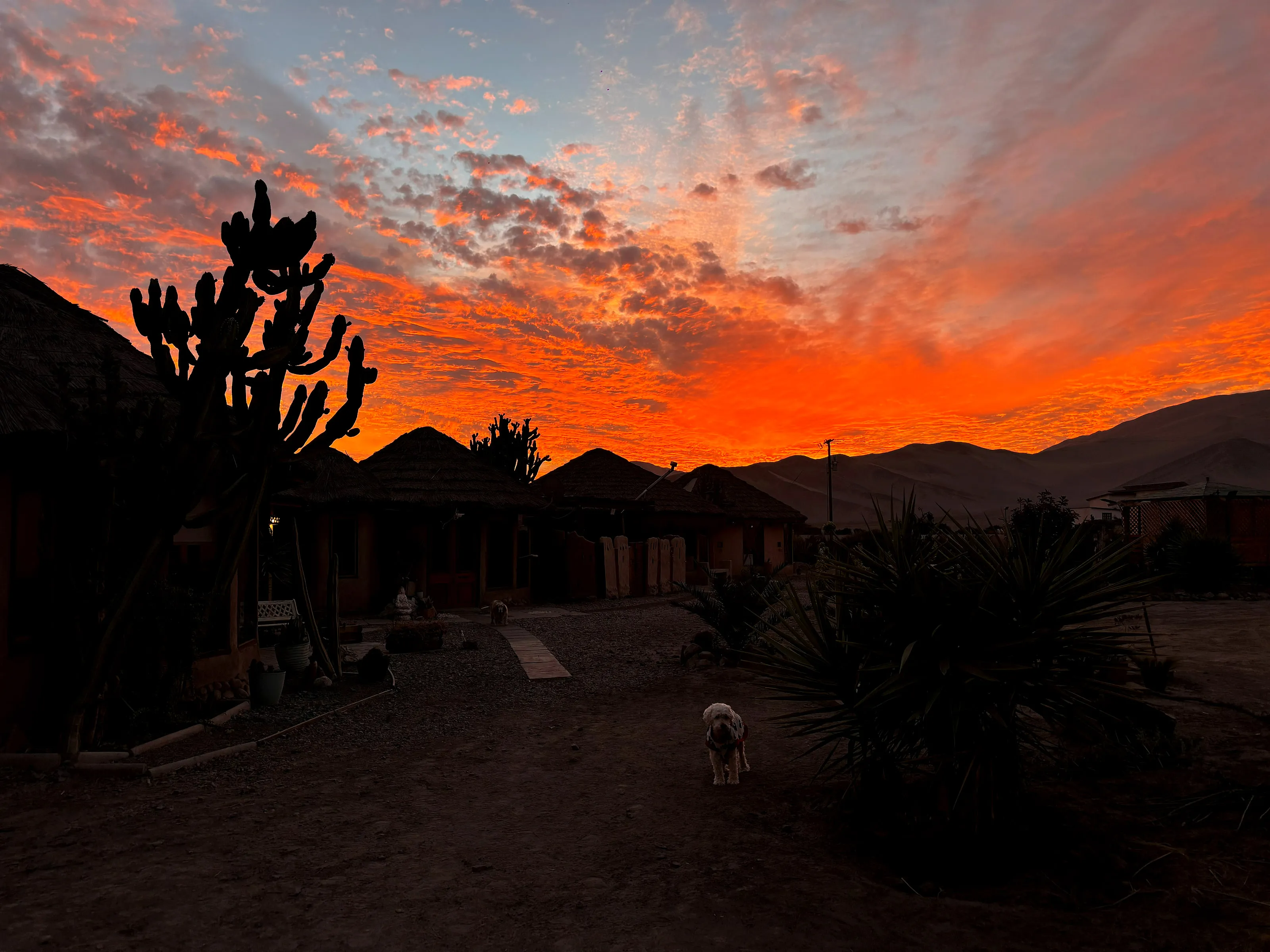 Atardecer sobre las cabañas de adobe de Relajo Desierto, en el desierto de Atacama